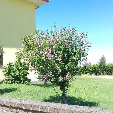 Agriturismo Le Quattro Stagioni-3
